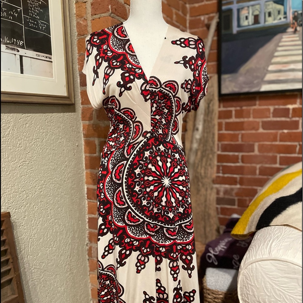 Jaw Dropping Nieves Lavi 100% Silk Dress